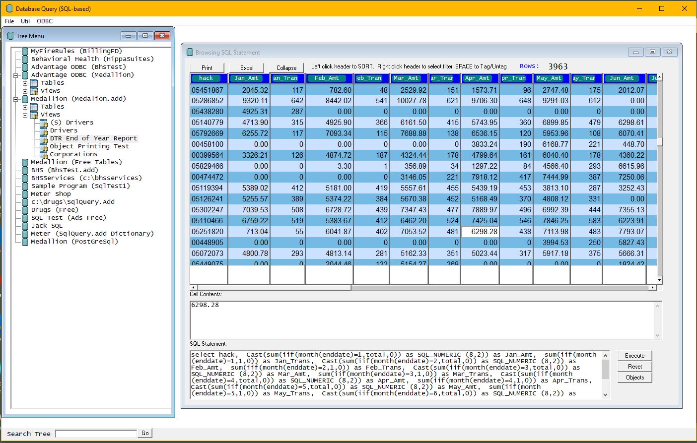 This is the resultant browse of a pre-defined view - DTR End of Year Report